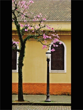 DESCOBRINDO A CIDADE — page 28