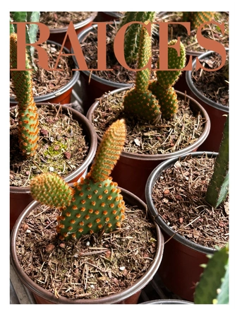 raices