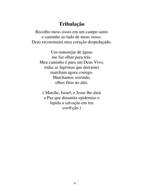 Uma Abertura na Noite - Poesia - Sammis Reachers — page 35