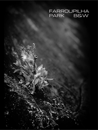 FARROUPILHA PARK B&W