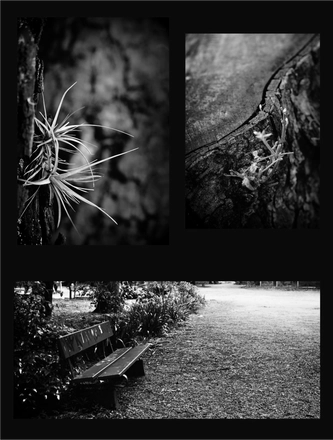 FARROUPILHA PARK B&W — page 18