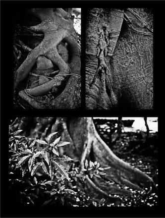FARROUPILHA PARK B&W — page 20