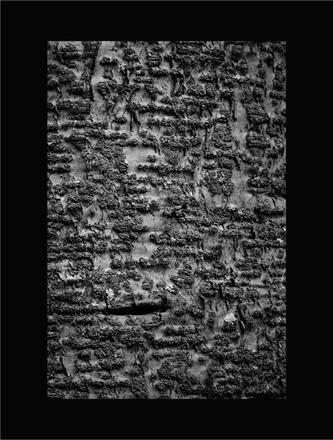 FARROUPILHA PARK B&W — page 24