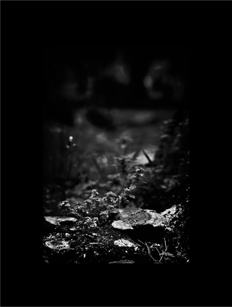 FARROUPILHA PARK B&W — page 8