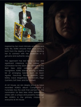 ART HOUSE: Latin Grammy 2024 (ENG) — page 17