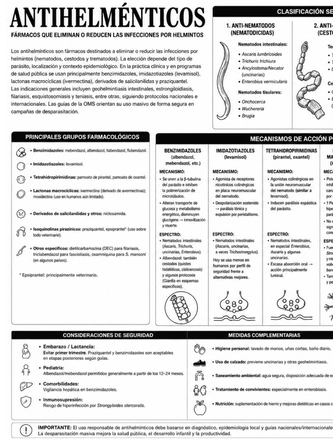 Farmacologia revista — page 6