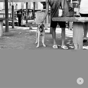 CIDADE DE DEUS/RJ — page 11